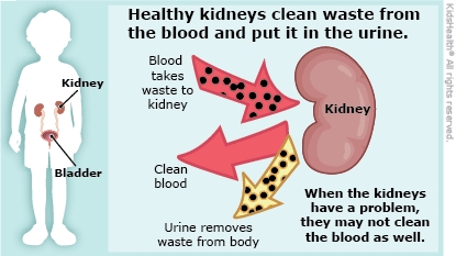 KidsHealth Image