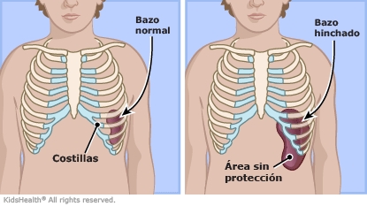 KidsHealth Image