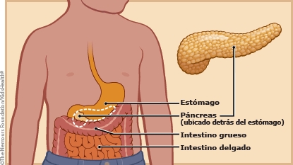 KidsHealth Image