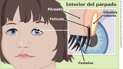 KidsHealth Image