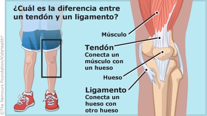 KidsHealth Image