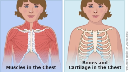 KidsHealth Image