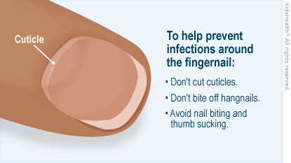 KidsHealth Image