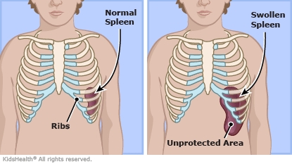 KidsHealth Image