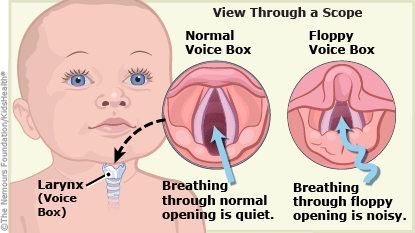 KidsHealth Image