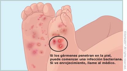 KidsHealth Image