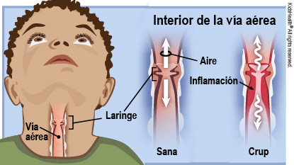 KidsHealth Image