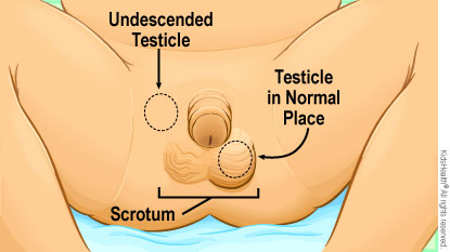 KidsHealth Image